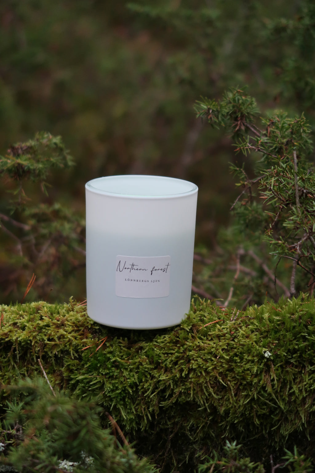 Northern Forest - Doftljus